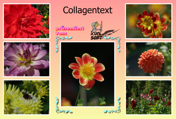collagentest