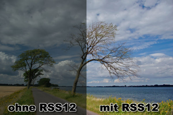 rss12